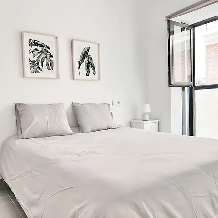 Apartment Circo 6